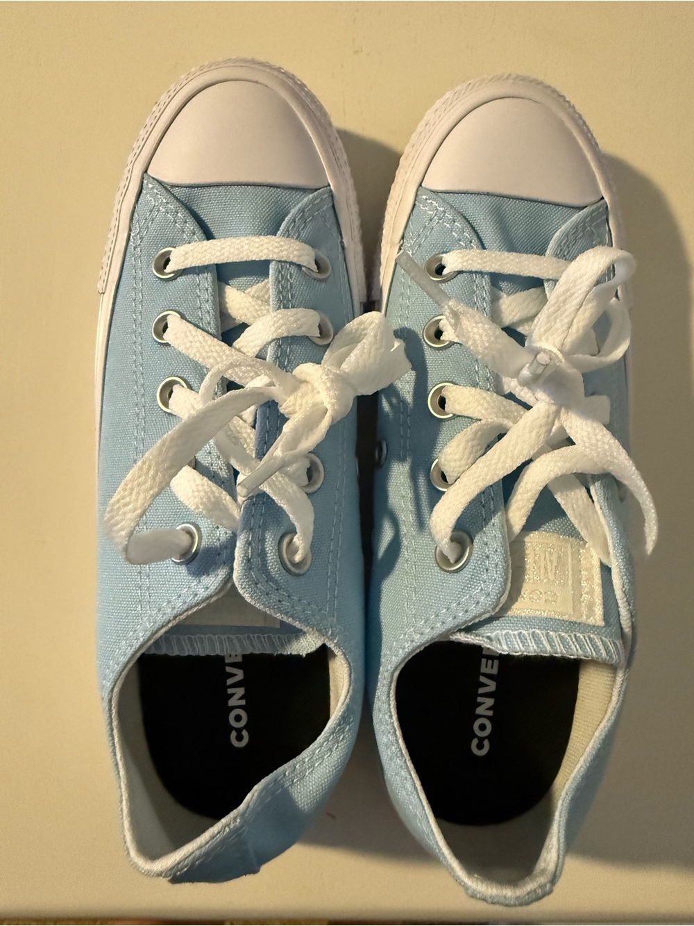 NWOT Converse Low Top Canvas Sneakers in Light Blue